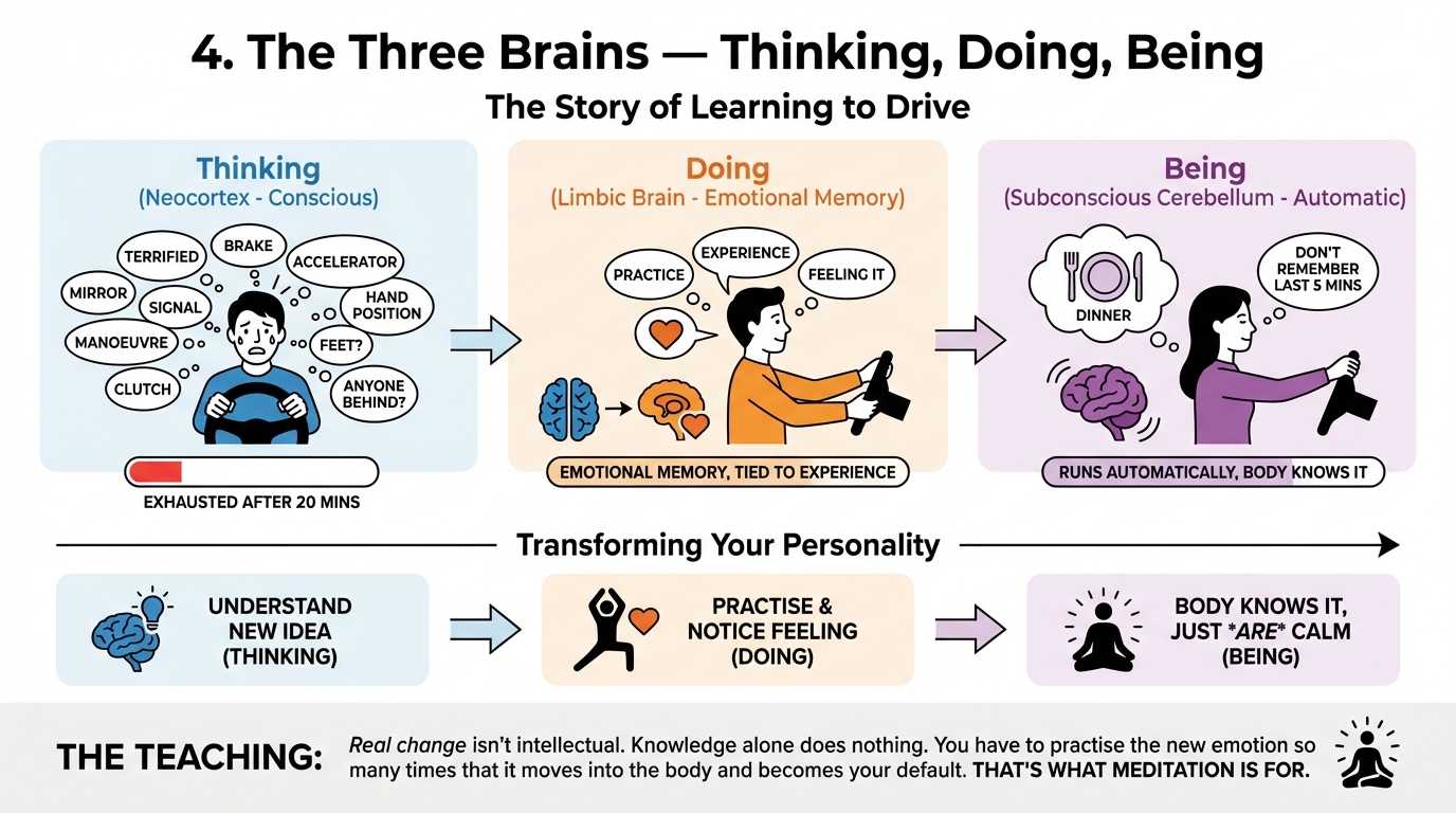 4. The Three Brains — Thinking, Doing, Being